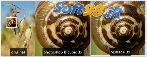 soft98 soft98
